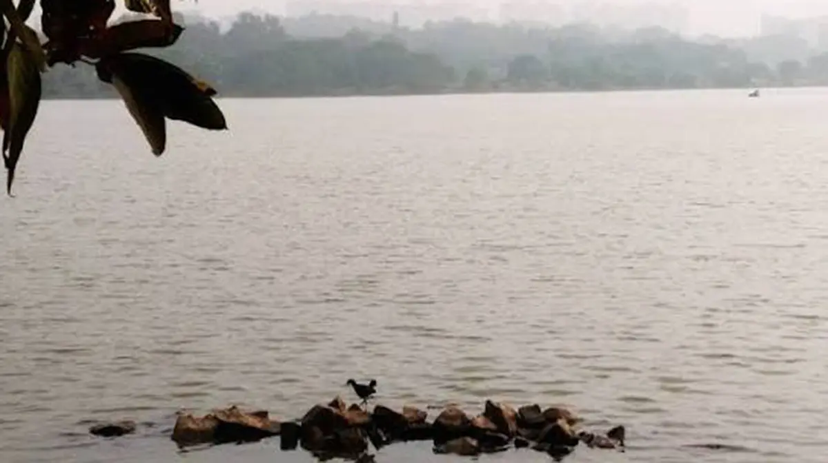 Hebbal Lake: BDA Says 2.28-km Short Tunnel Will Not Harm the Lake