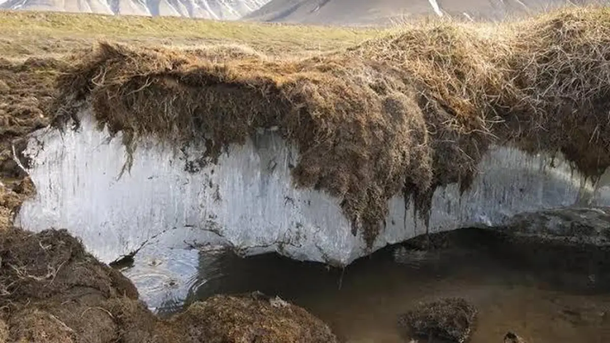 Permafrost Thaw: Metals Persist Over 100 km Down an Alaskan River