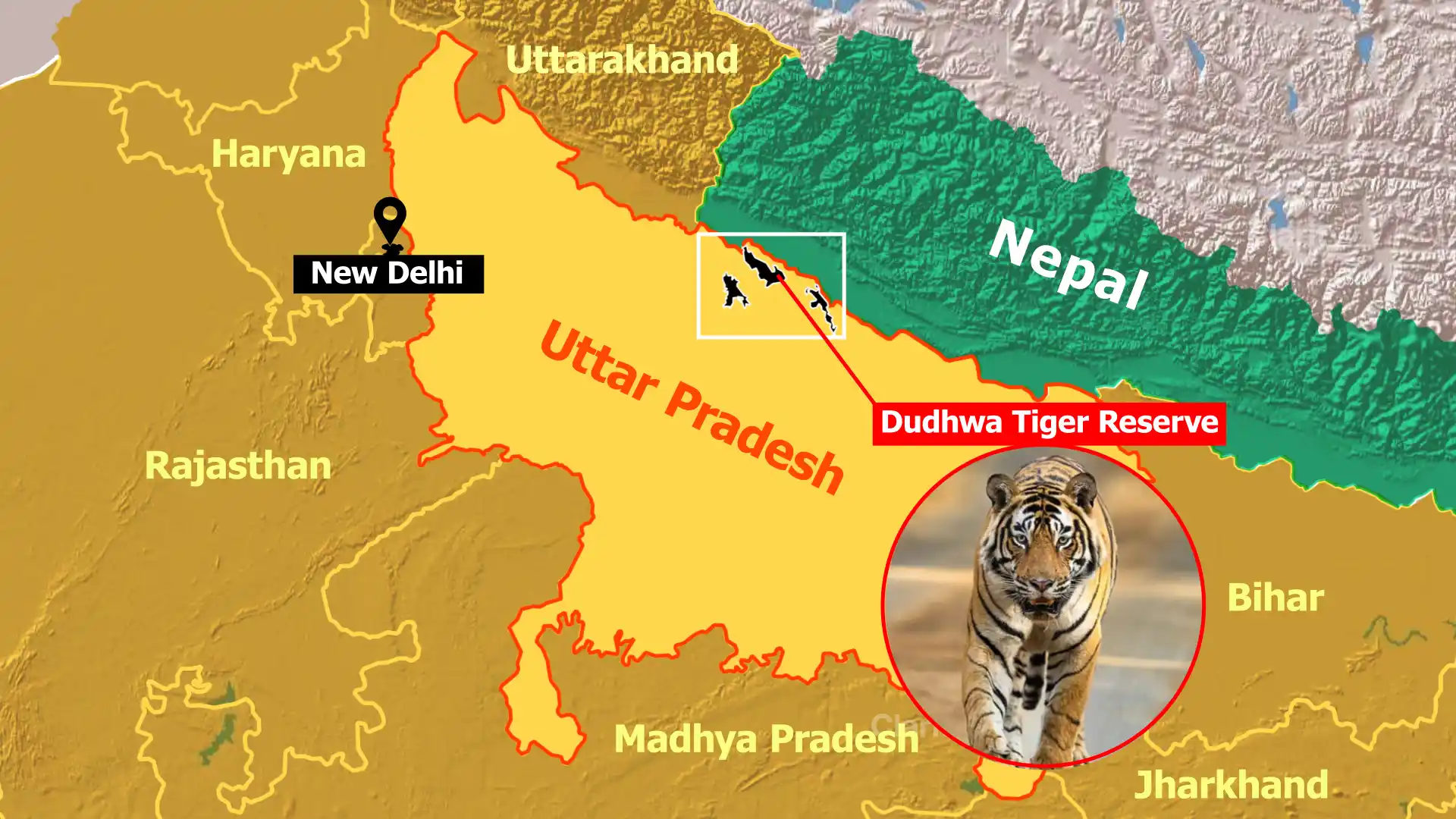 Rainbow Water Snake Spotted in Dudhwa Tiger Reserve