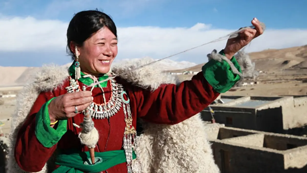 Changpa Community: Ladakh Pashmina Sector & Changthangi Goats