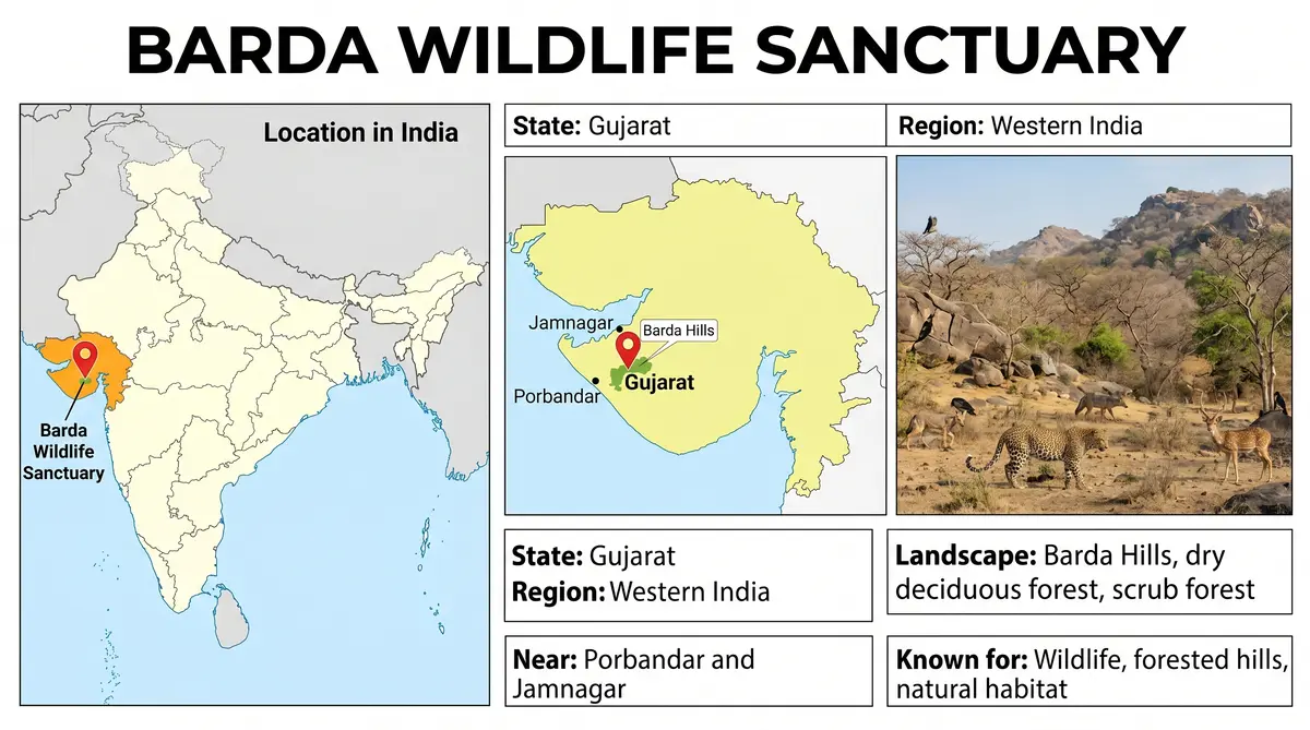 Barda Wildlife Sanctuary – Second Home for Asiatic Lions
