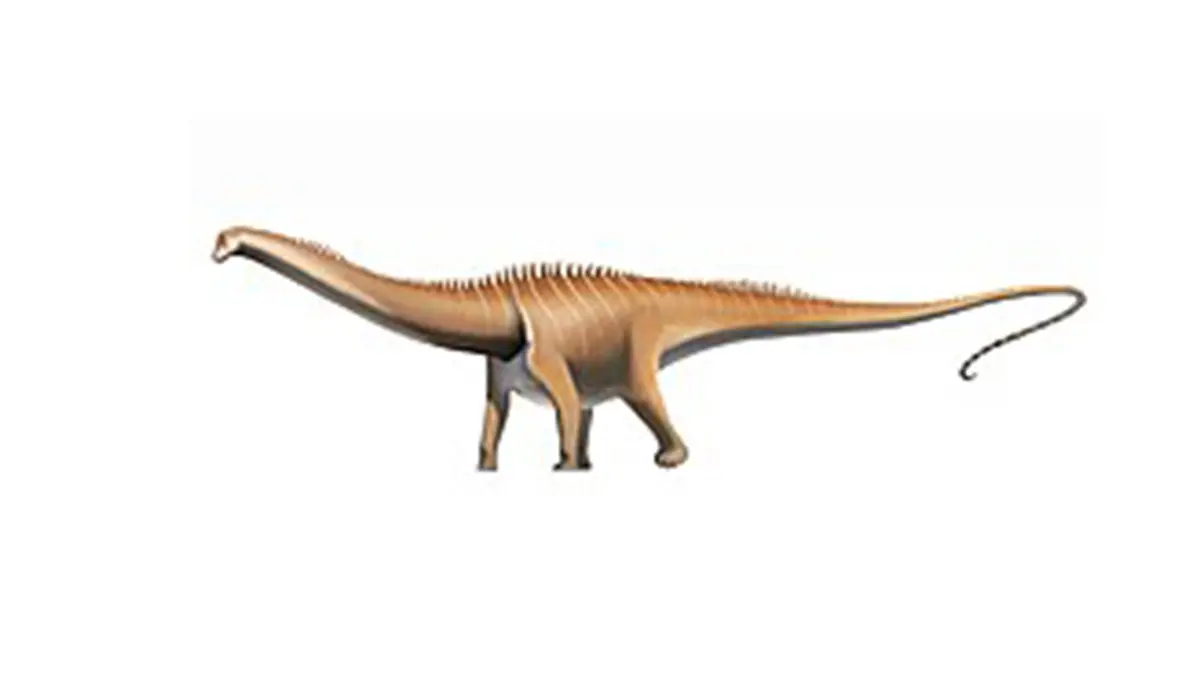 Diplodocus: First Find Outside North America, in Teruel, Spain