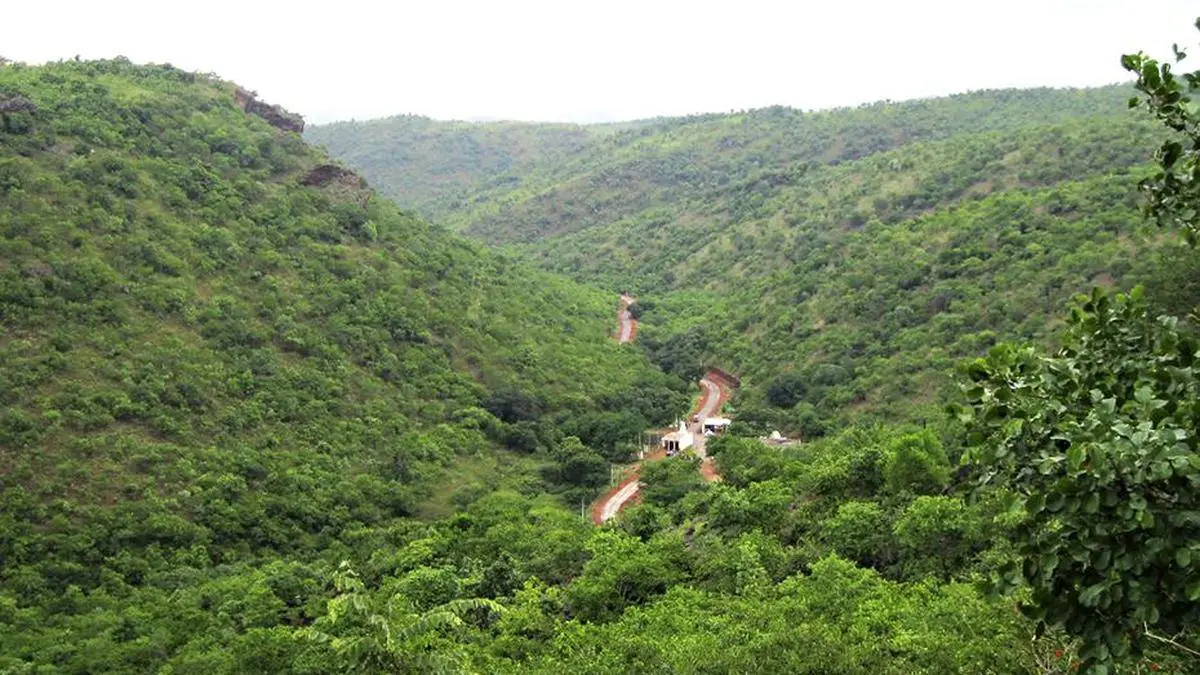 High Court orders inclusion of reserve forest into Kappatagudda Wildlife Sanctuary