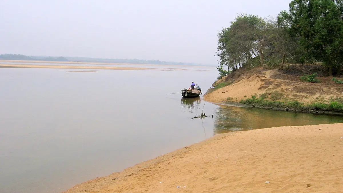 Damodar River: Rare Hilsa Caught Upstream at Khandaghosh