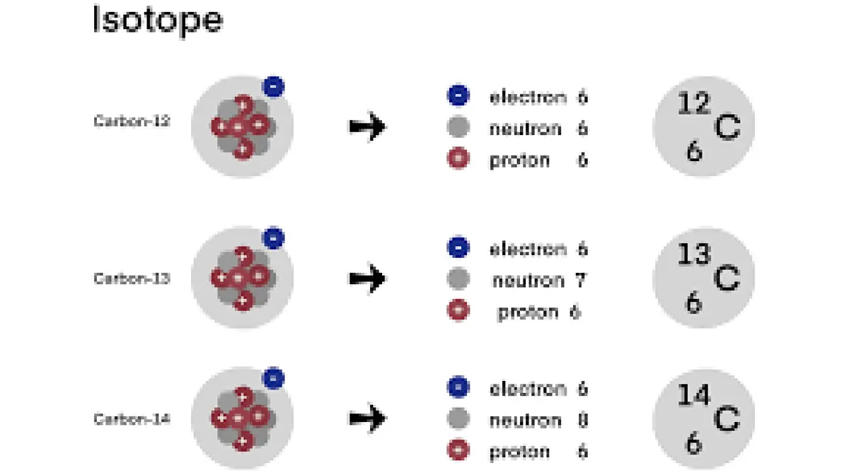 Discovery of Carbon‑14 and the Birth of Radiocarbon Dating