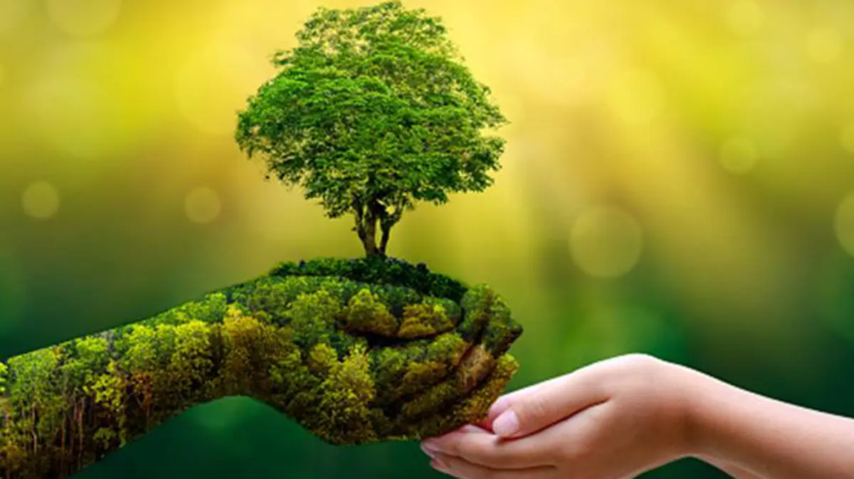 Green India Mission Audit Exposes Forest-Cover Gap