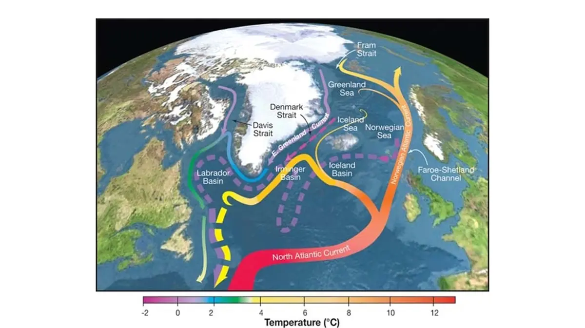 Atlantic Meridional Overturning Circulation (AMOC)