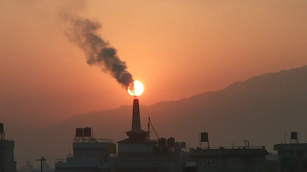 Bioremediation – using microbes to clean polluted environments