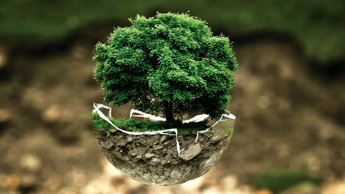 Public Trust Doctrine – Extending to Man‑made Waterbodies