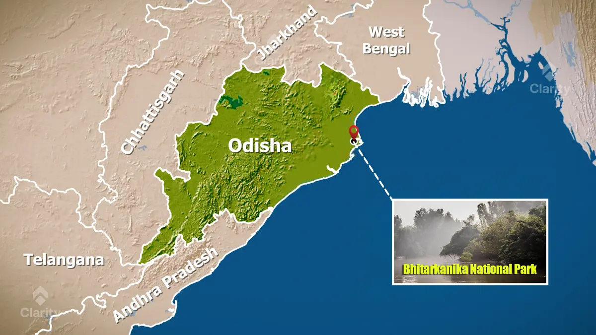 Bhitarkanika National Park Records a Rise in Migratory Birds