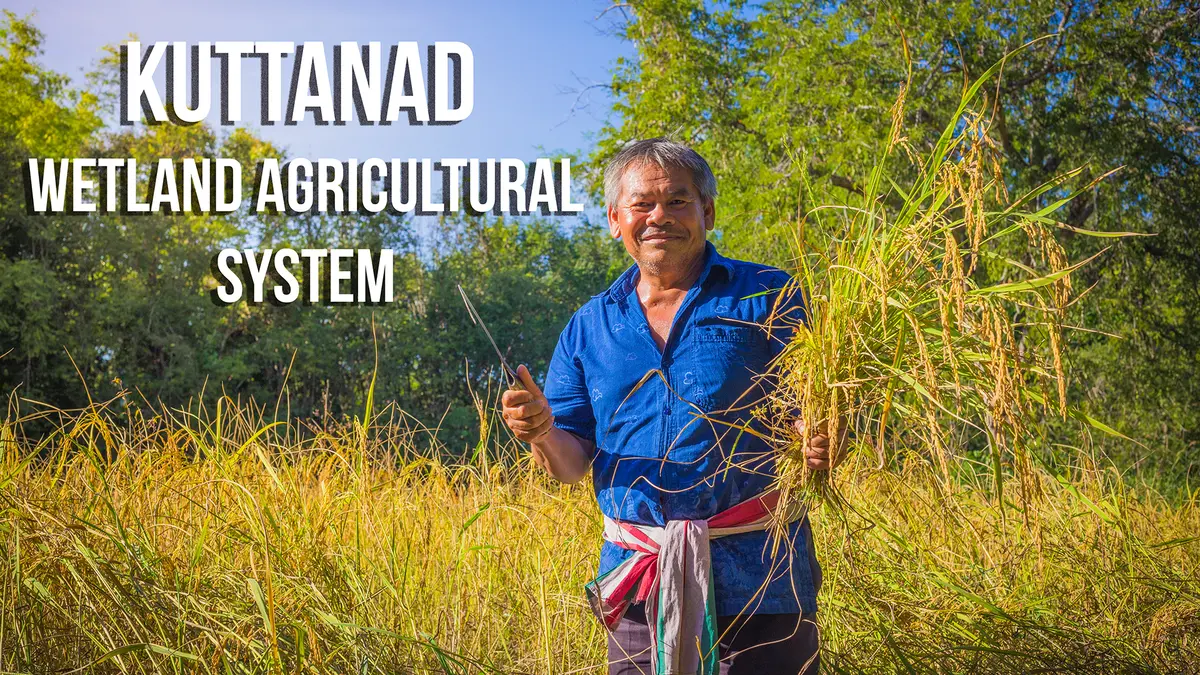 Kuttanad Wetland Agricultural System