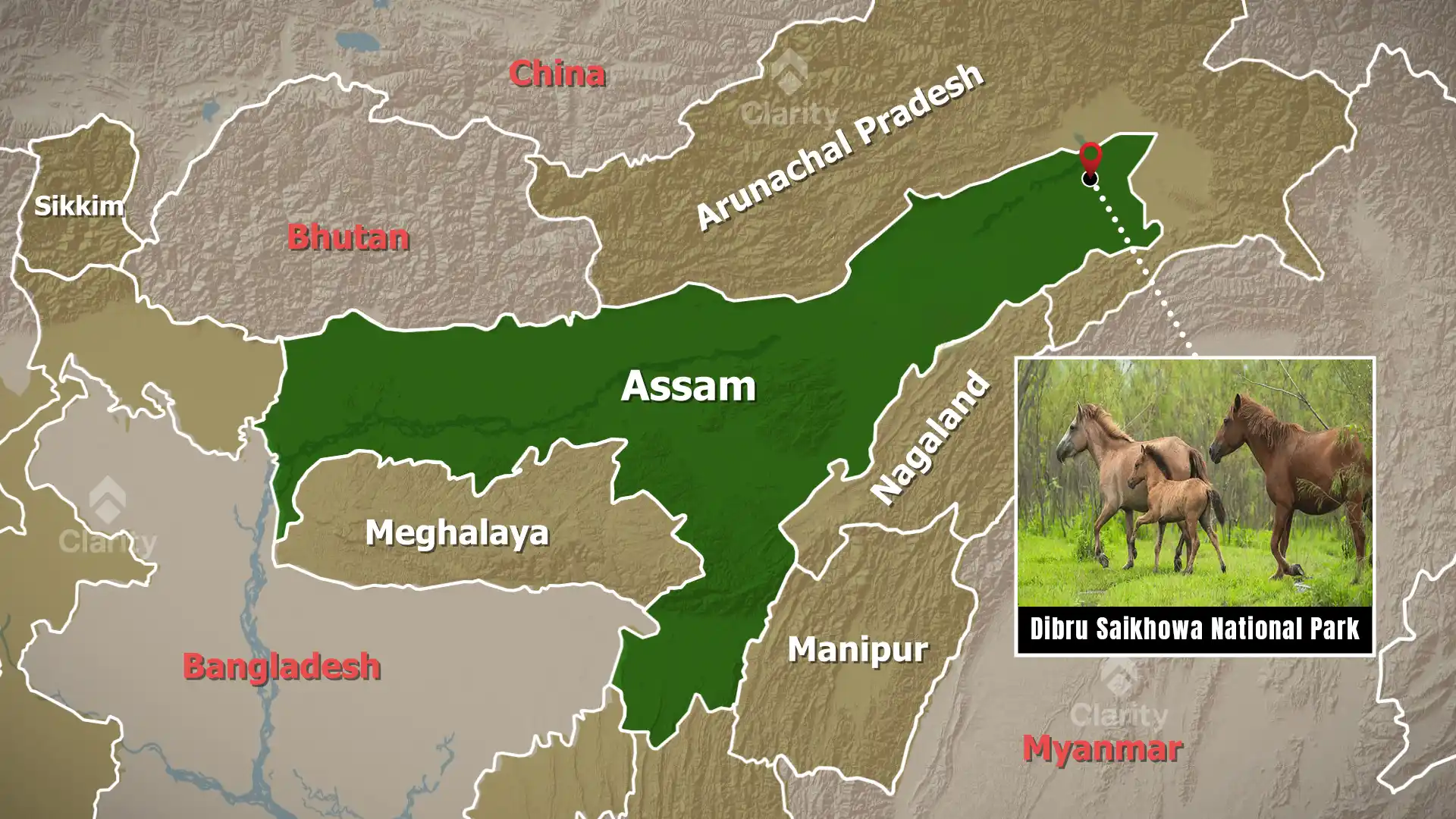 Dibru–Saikhowa National Park – Remote Polling Amid Wilderness