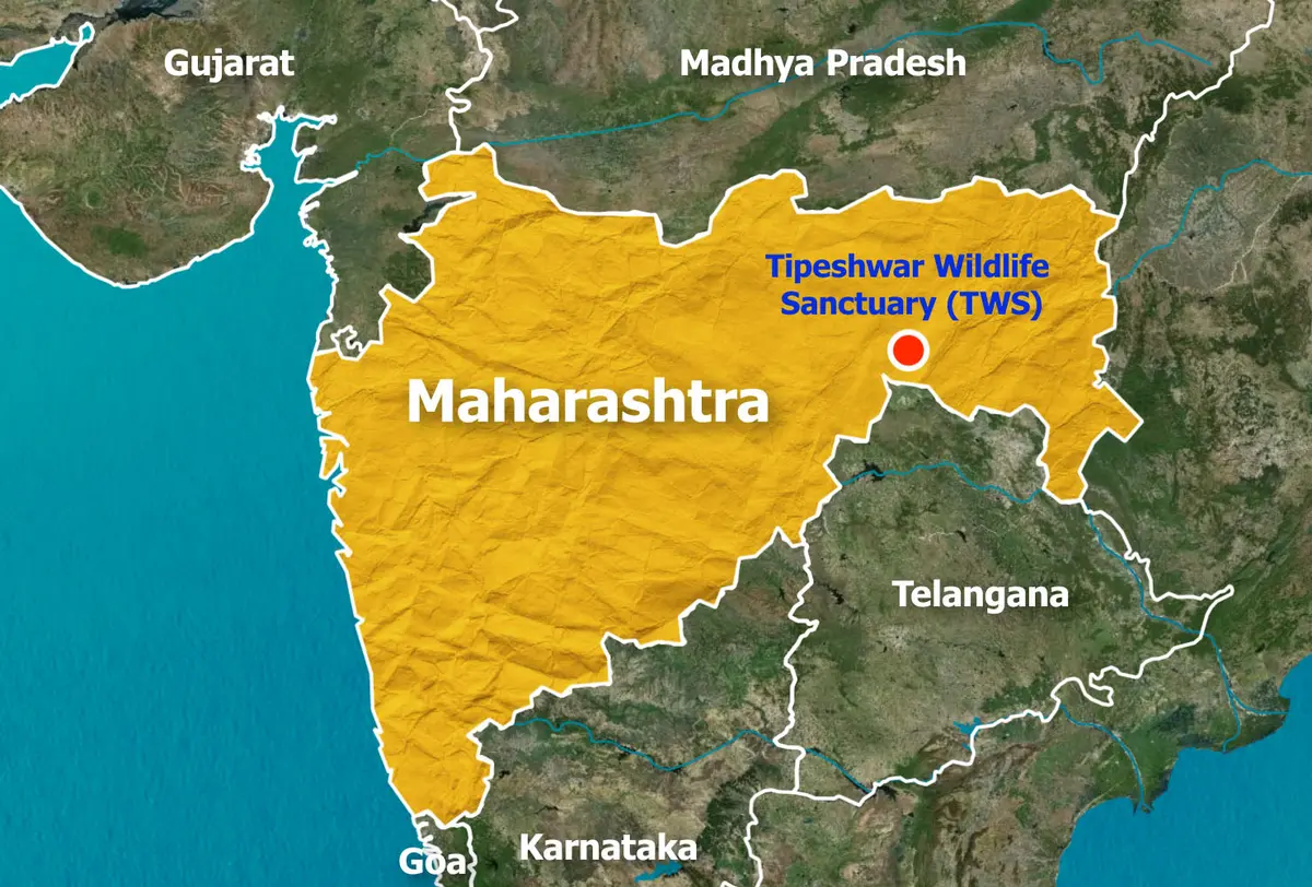 Tipeshwar Wildlife Sanctuary, Maharashtra