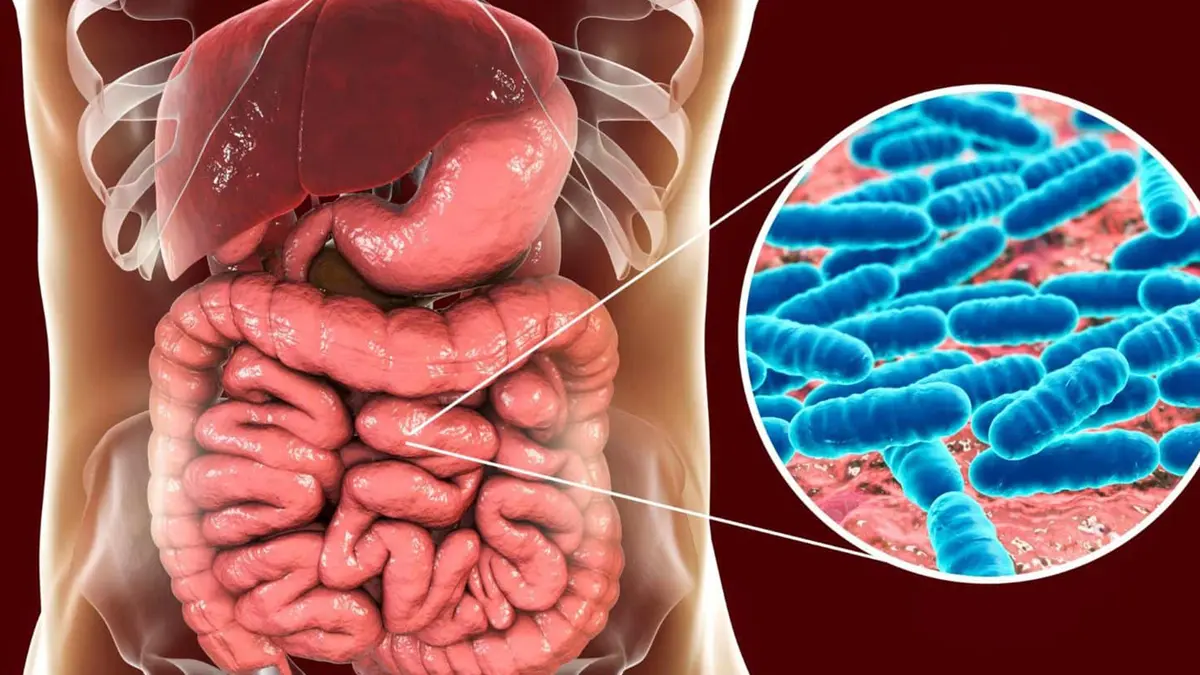 SAMBAR Study: South Asian Gut Microbiome & Urbanisation