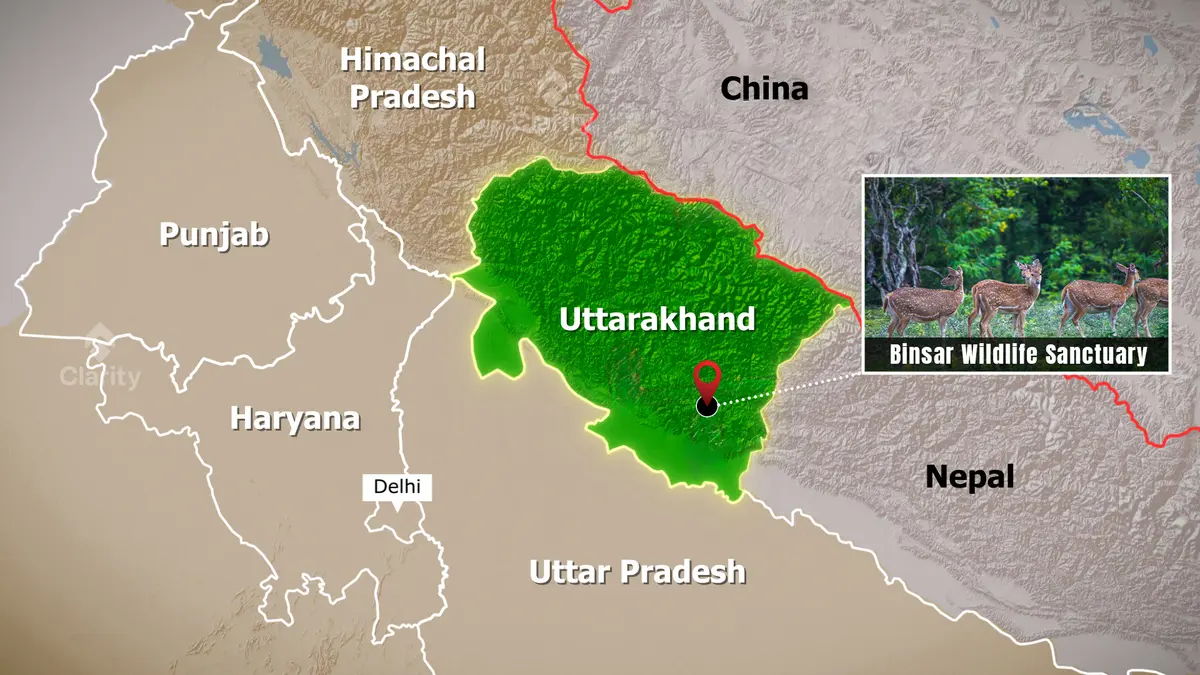 Tiger Sighted at High Altitude in Binsar Sanctuary