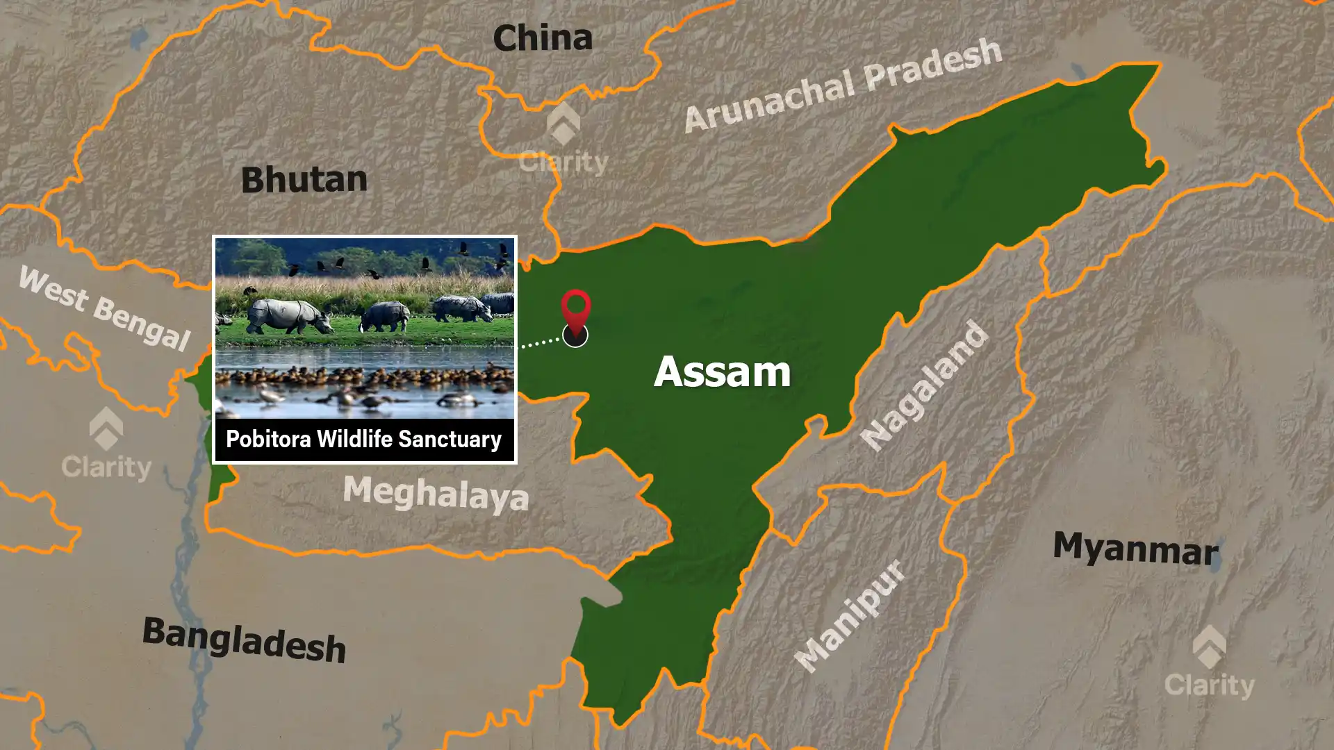 Pobitora Wildlife Sanctuary – haven for the one‑horned rhino