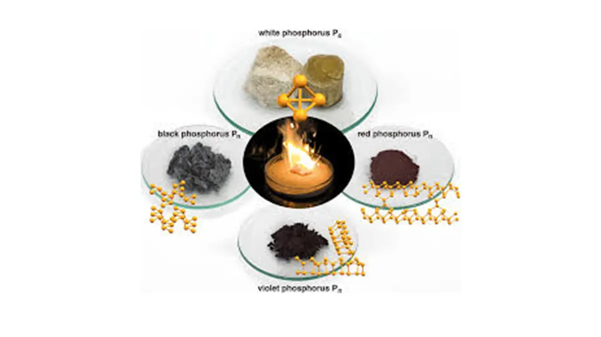 Managing Legacy Phosphorus in Agricultural Soils