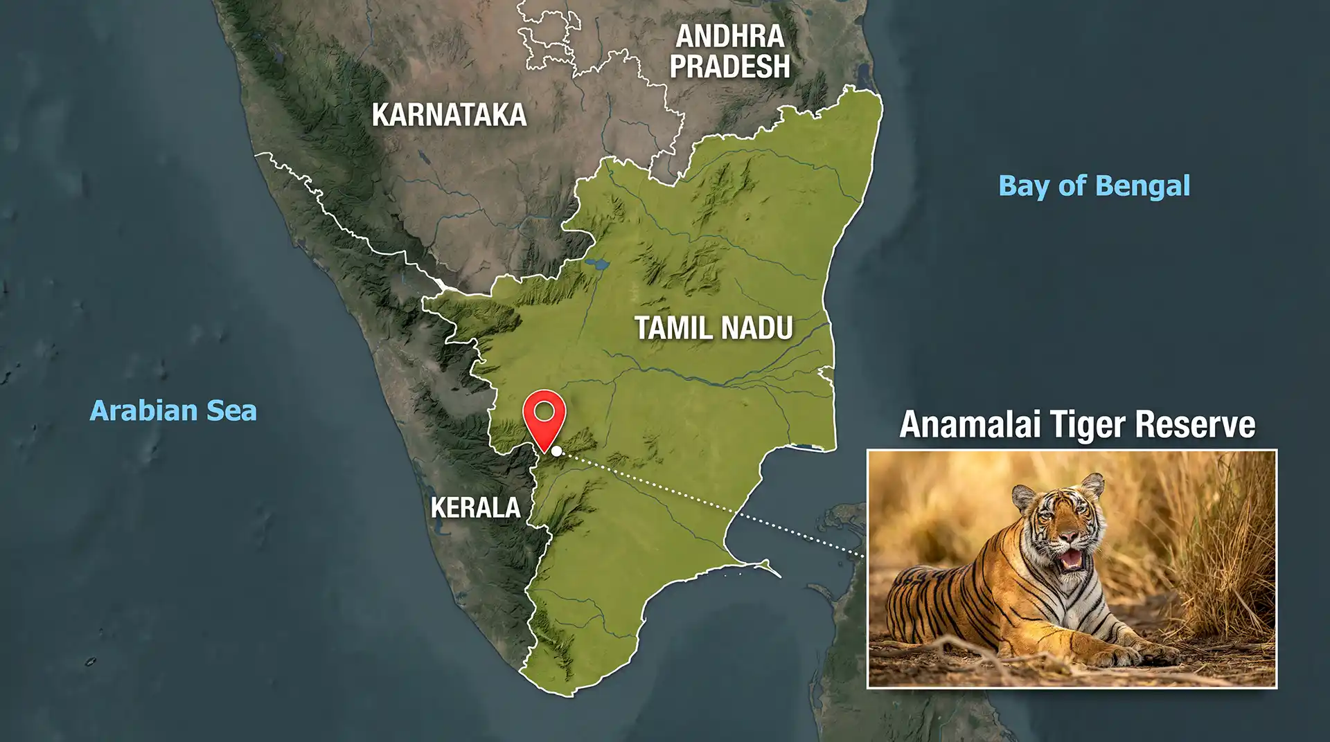 Anamalai Tiger Reserve