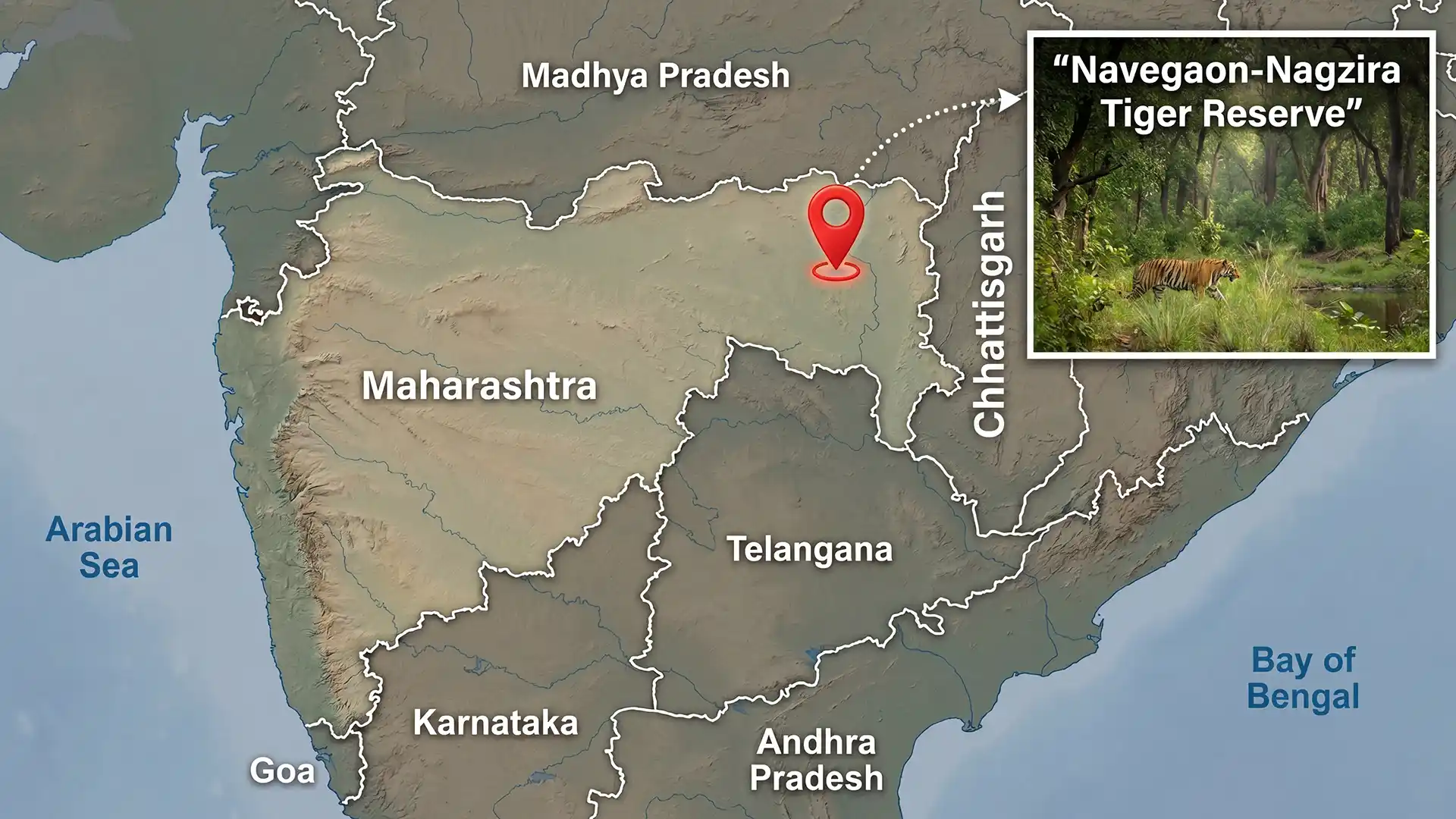 Navegaon‑Nagzira Tiger Reserve