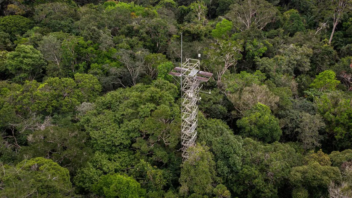AmazonFACE: Simulating Future Climate in the Rainforest