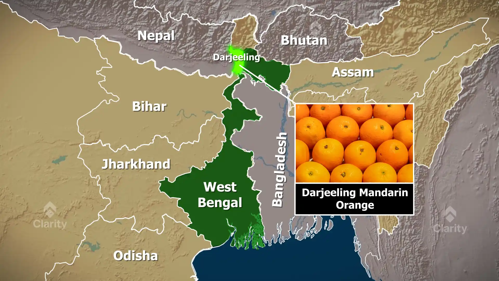 Darjeeling Mandarin Orange receives GI status