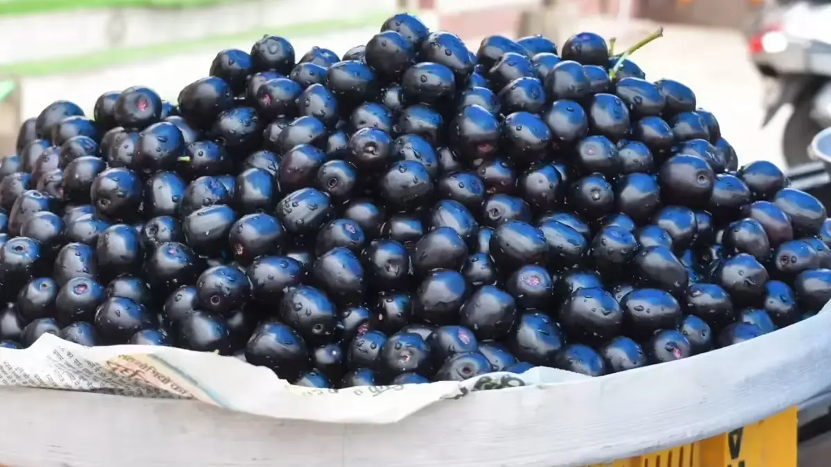 Jamun and its ancient origins