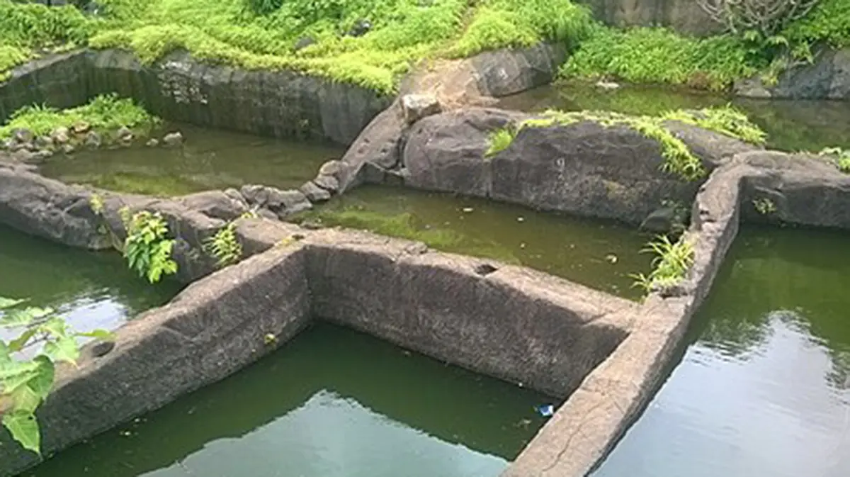 Tandulwadi Fort: Strategic Watchtower & Heritage in Maharashtra