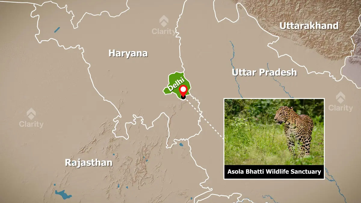 Asola-Bhatti: Abandoned Mines Now Among the Richest Bird Habitats