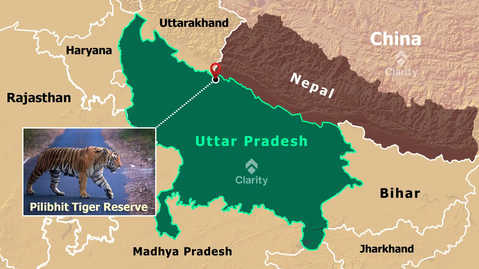 Pilibhit Tiger Reserve – Human–Tiger Conflict