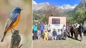 Rakchham–Chitkul Wildlife Sanctuary – International Bird‑Watching Programme