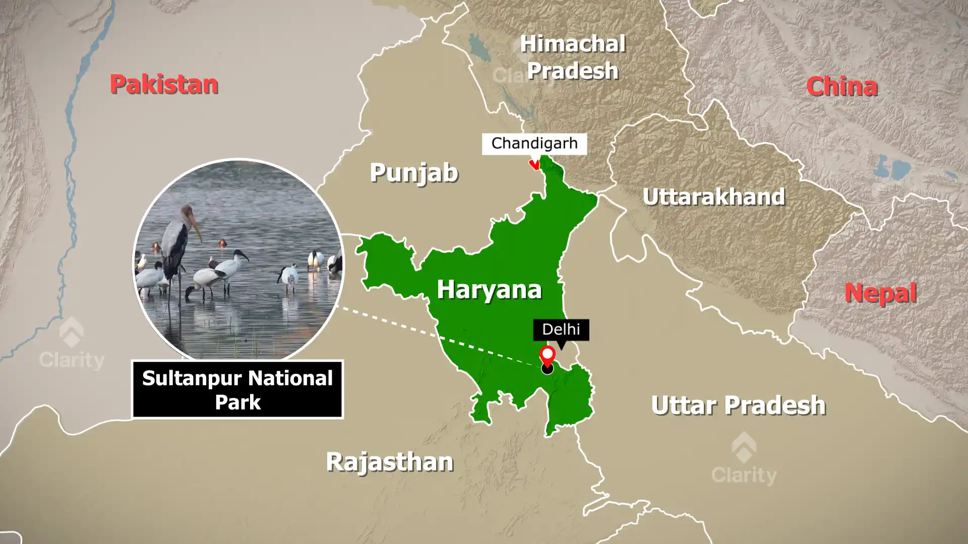 Sultanpur National Park – fewer migratory birds