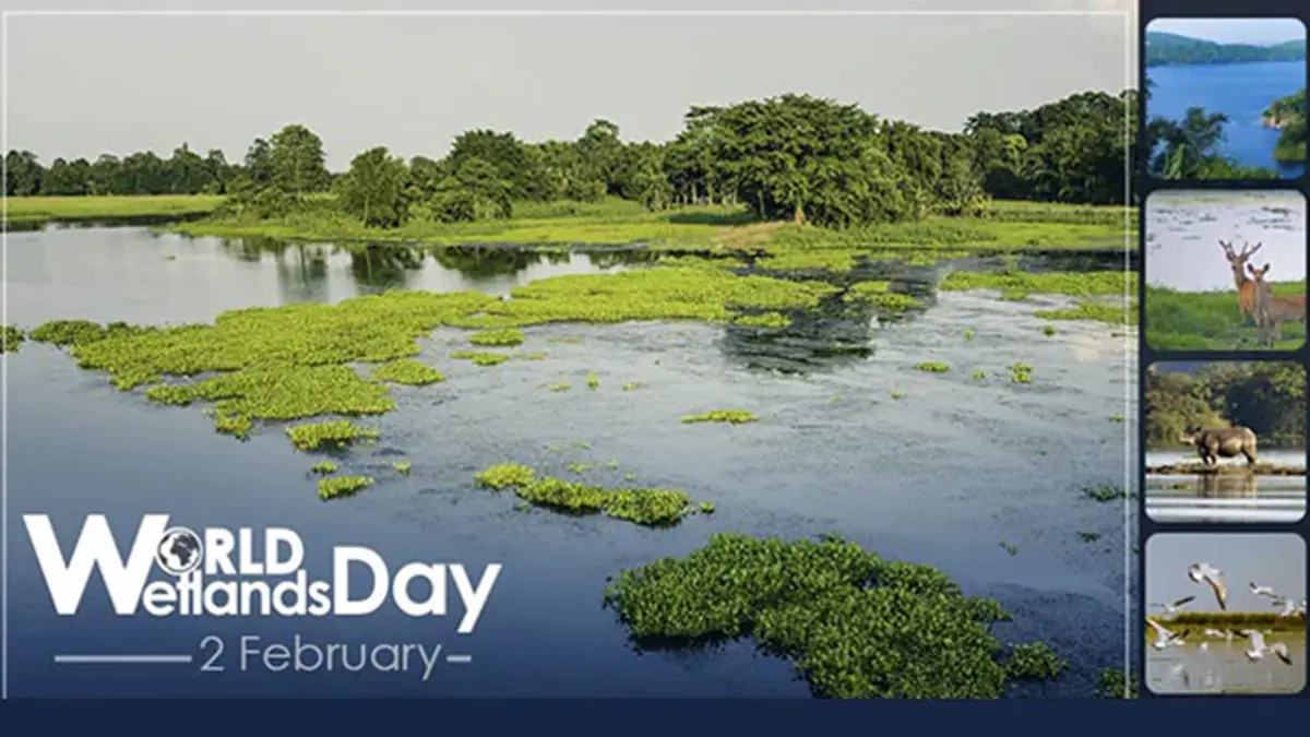 World Wetlands Day 2026 – Wetlands and Traditional Knowledge