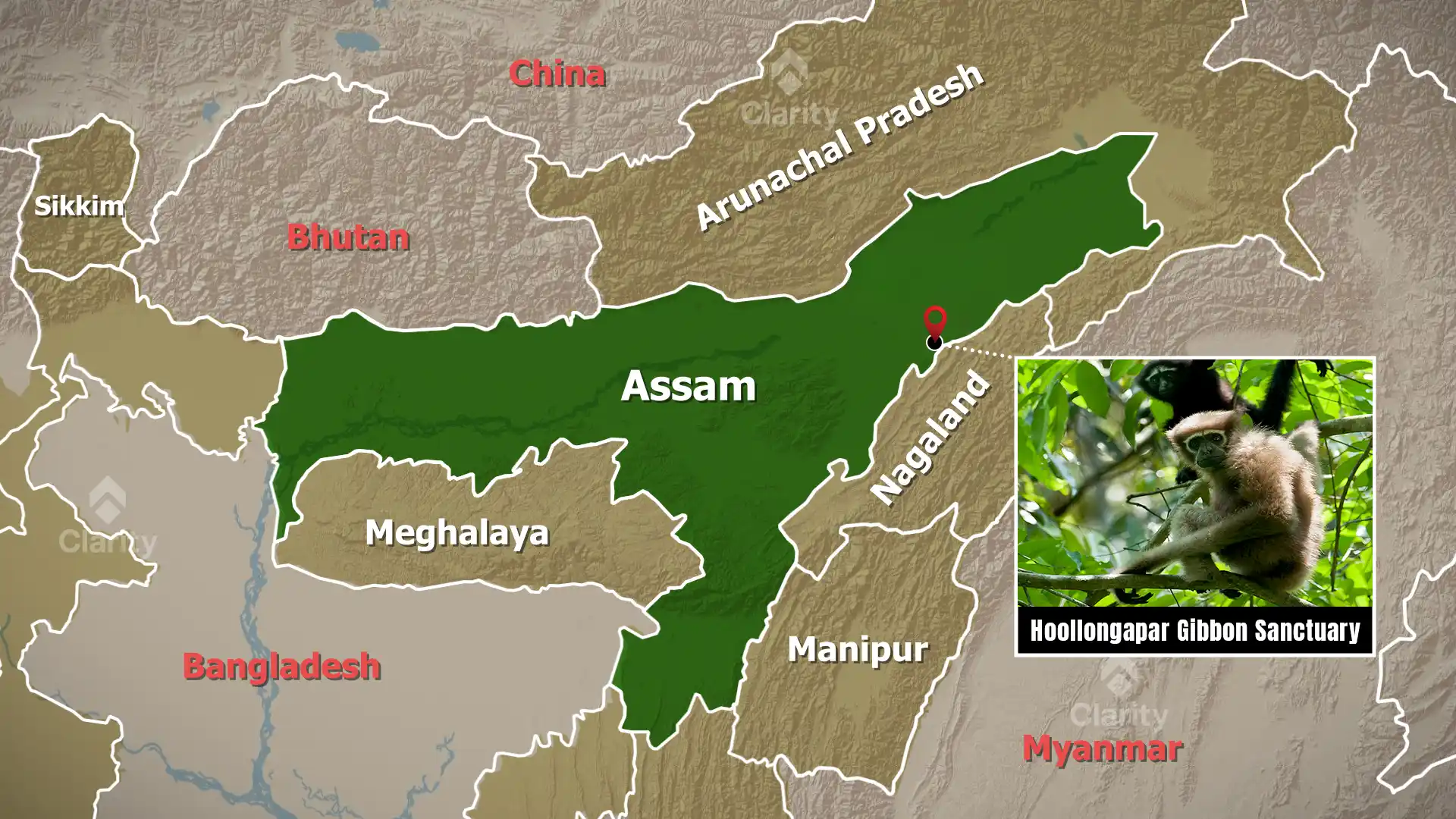 Hollongapar Gibbon Wildlife Sanctuary – Tragedy on an Electrified Rail Line