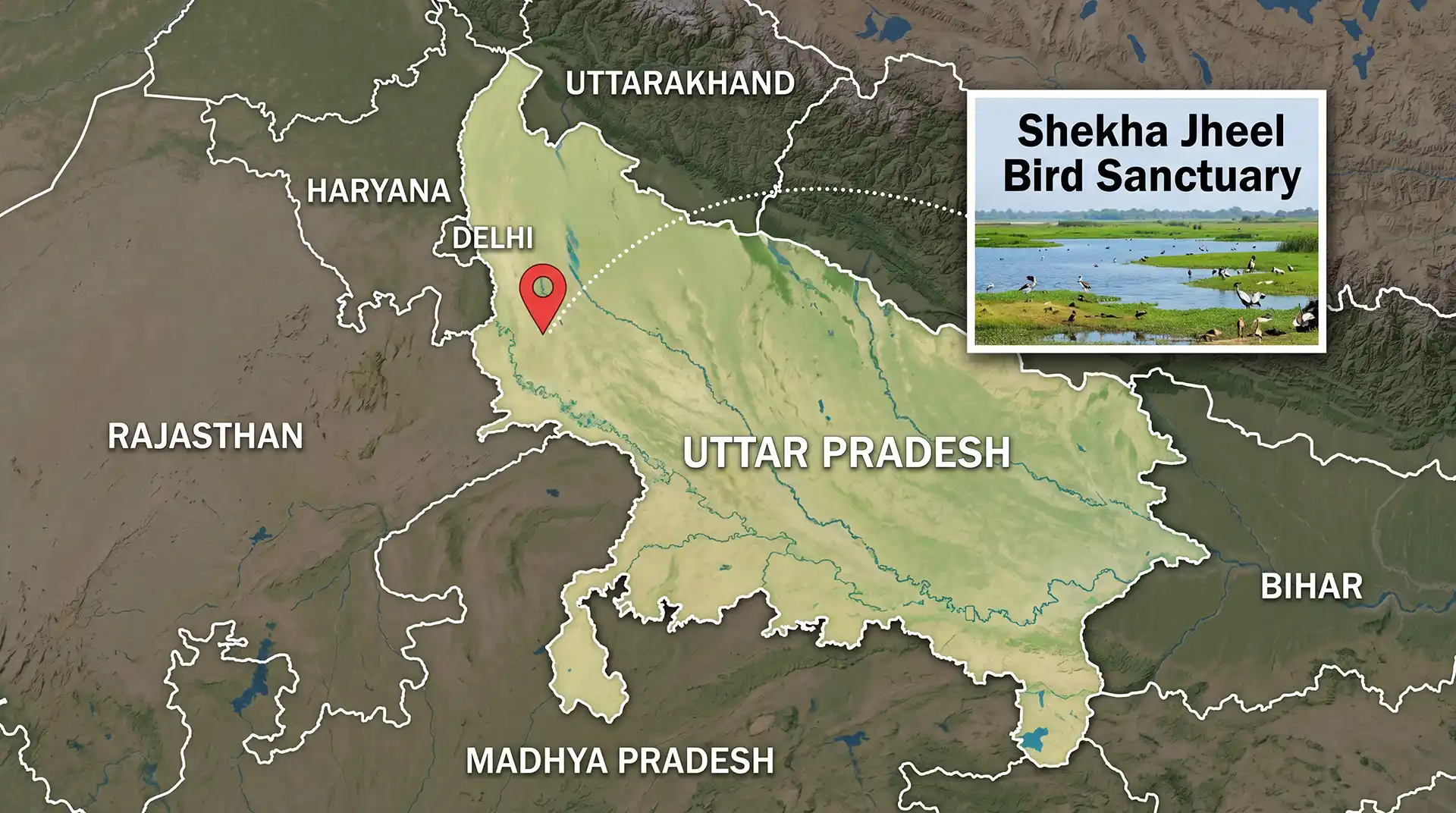 Shekha Jheel Bird Sanctuary