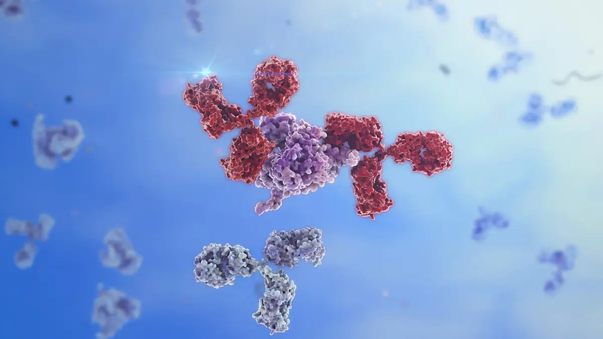 Intrinsically Disordered Proteins – Decoding Shape‑Shifting Interactions