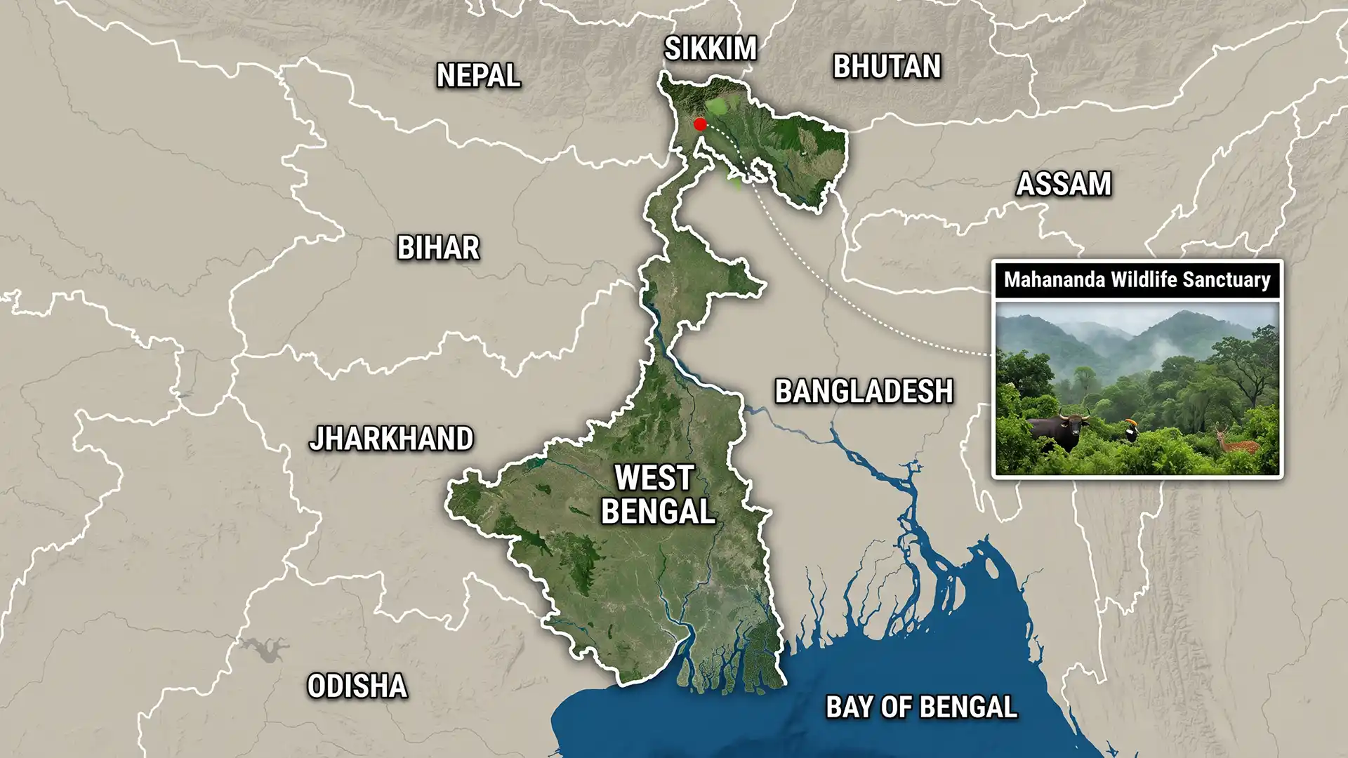 Mahananda Wildlife Sanctuary