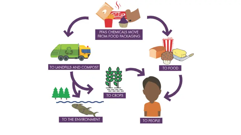 EU Tightens Water Rules to Monitor ‘Forever Chemicals’