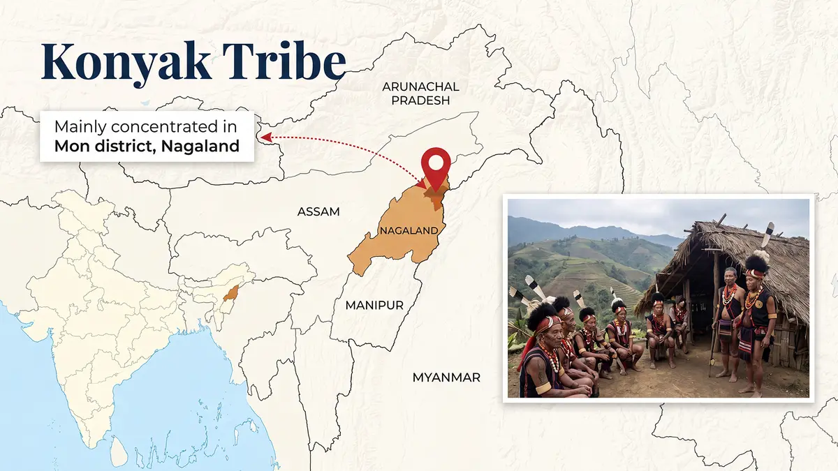 Konyak Tribe Herbal Medicine