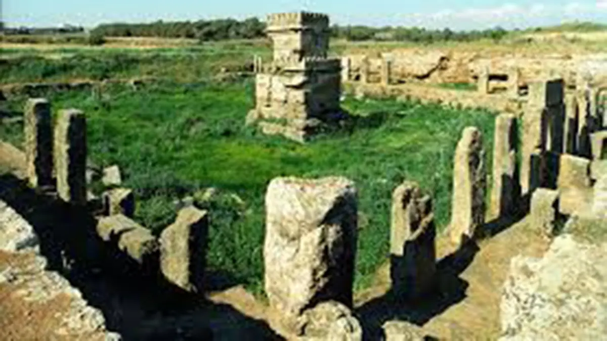 Phoenicia and the Iron‑Age Scarab Discovery