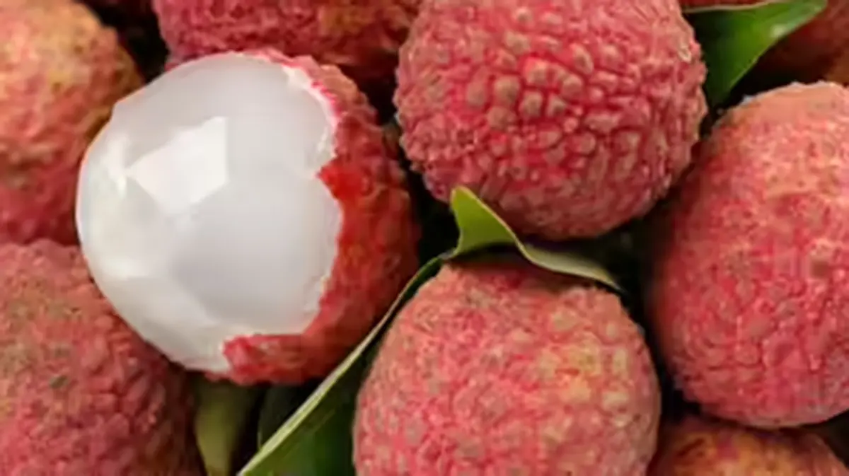 Tezpur Litchi – GI‑Tagged Fruit from Assam Reaches Dubai