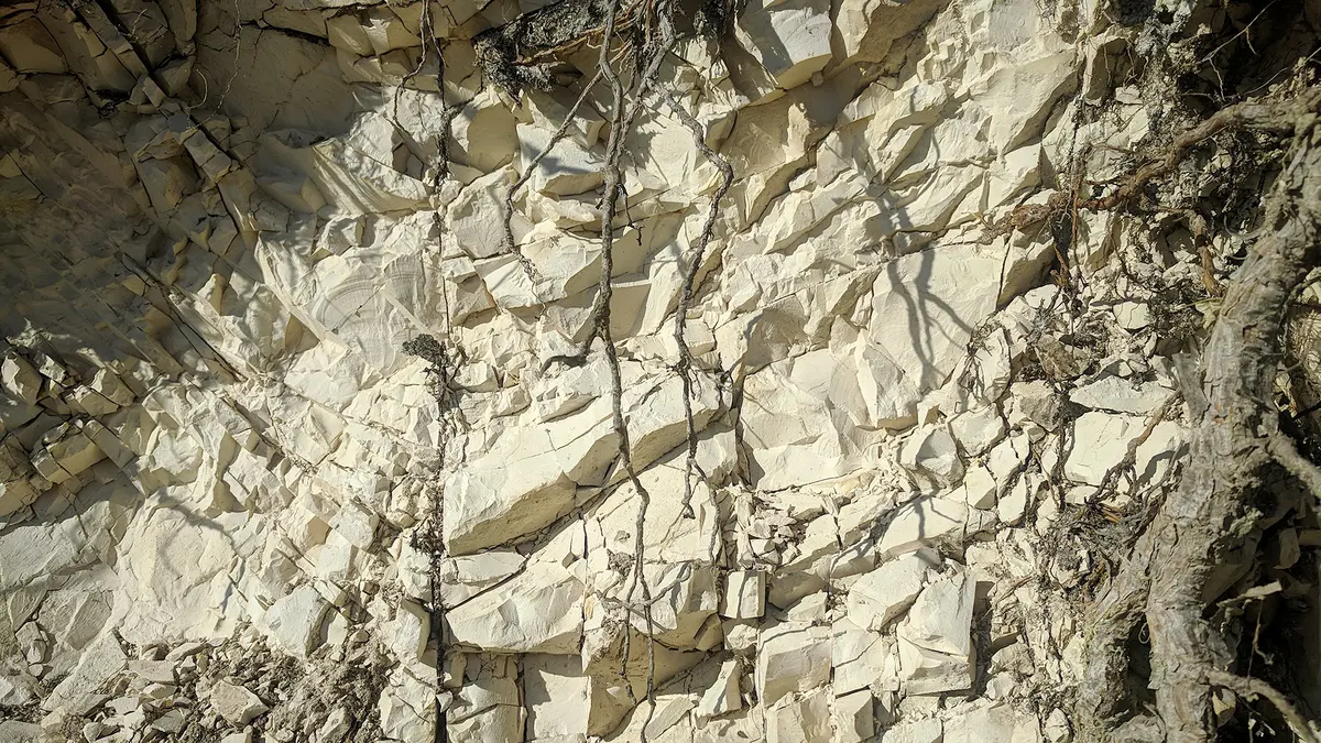 Limestone Auctions in Jammu & Kashmir