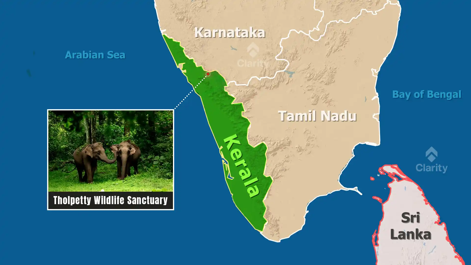 Gaur Relocated to Tholpetty Wildlife Sanctuary