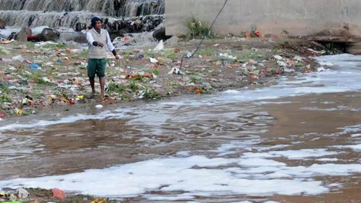 National Green Tribunal probes pollution in the Markanda River