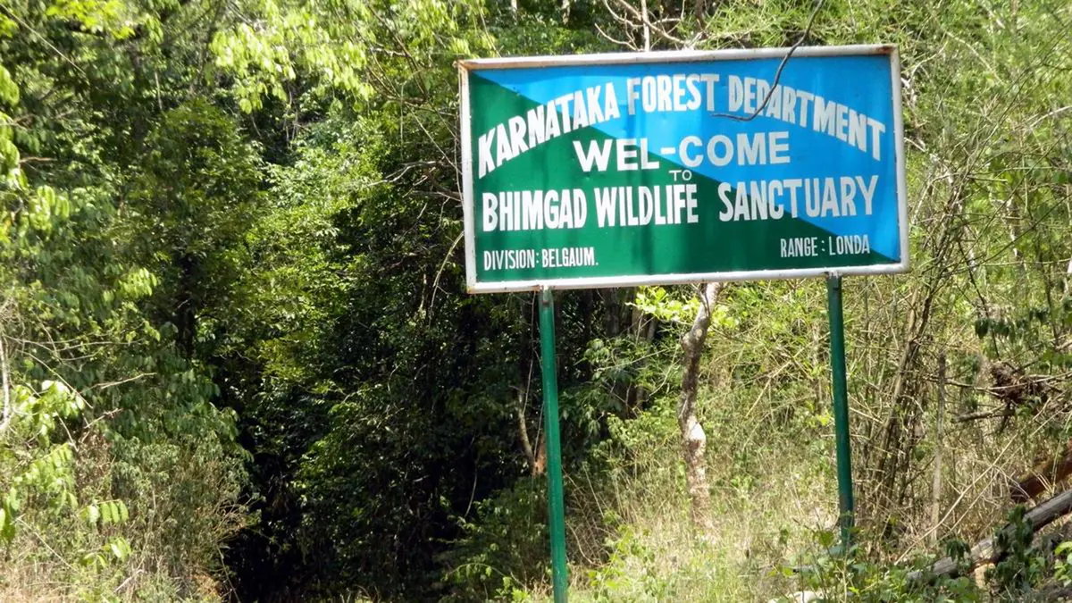 Bhimgad Wildlife Sanctuary – Relocation Stalls in Karnataka