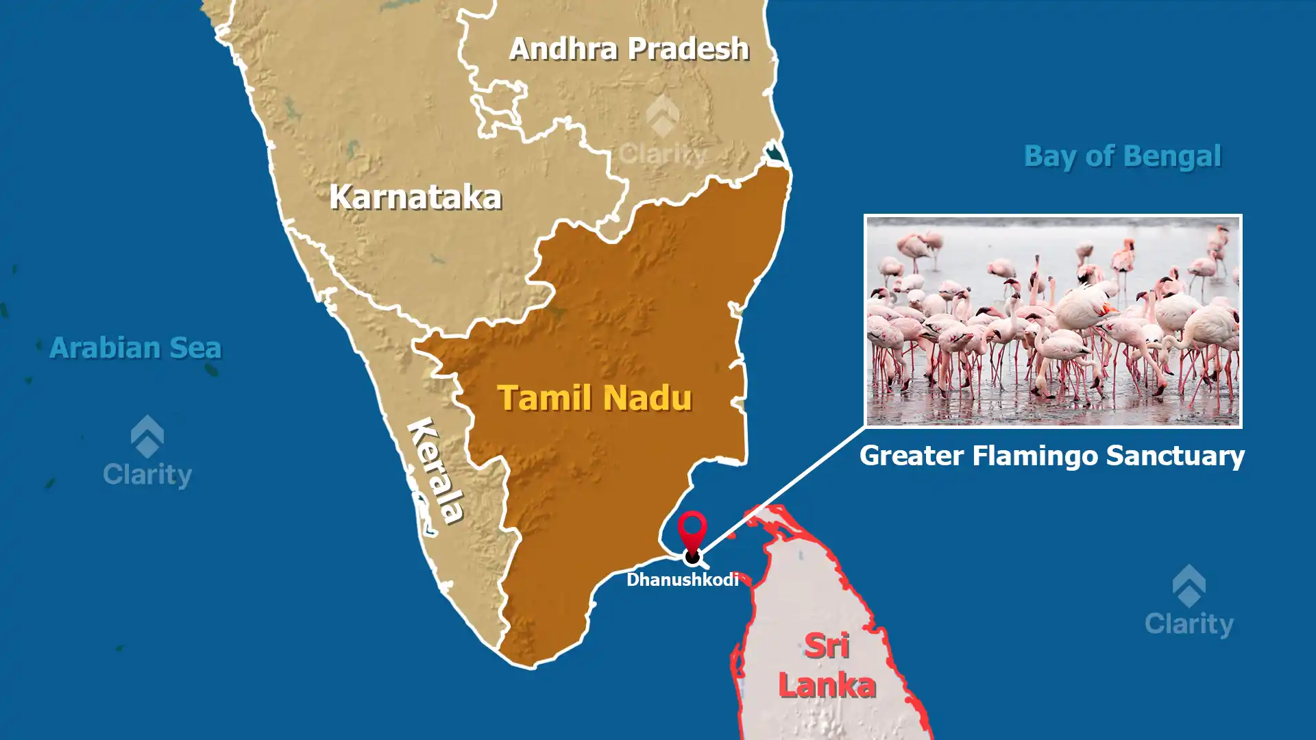 Offshore Wind Farm Near Dhanushkodi Raises Concerns for Greater Flamingo Sanctuary