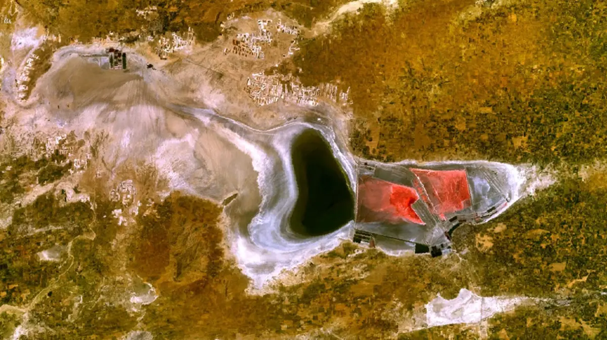 Record Water Levels at Sambhar Lake Spur Migratory Bird Influx