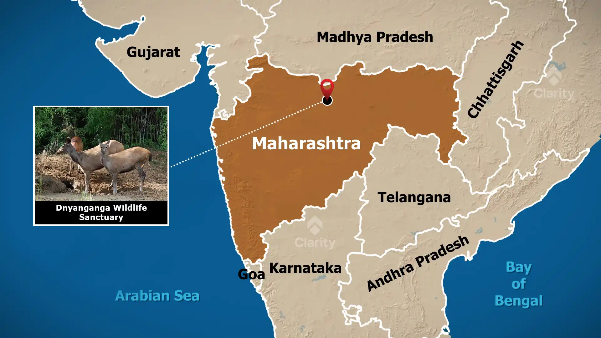 Dnyanganga Wildlife Sanctuary – Rewilding Rescued Tigers