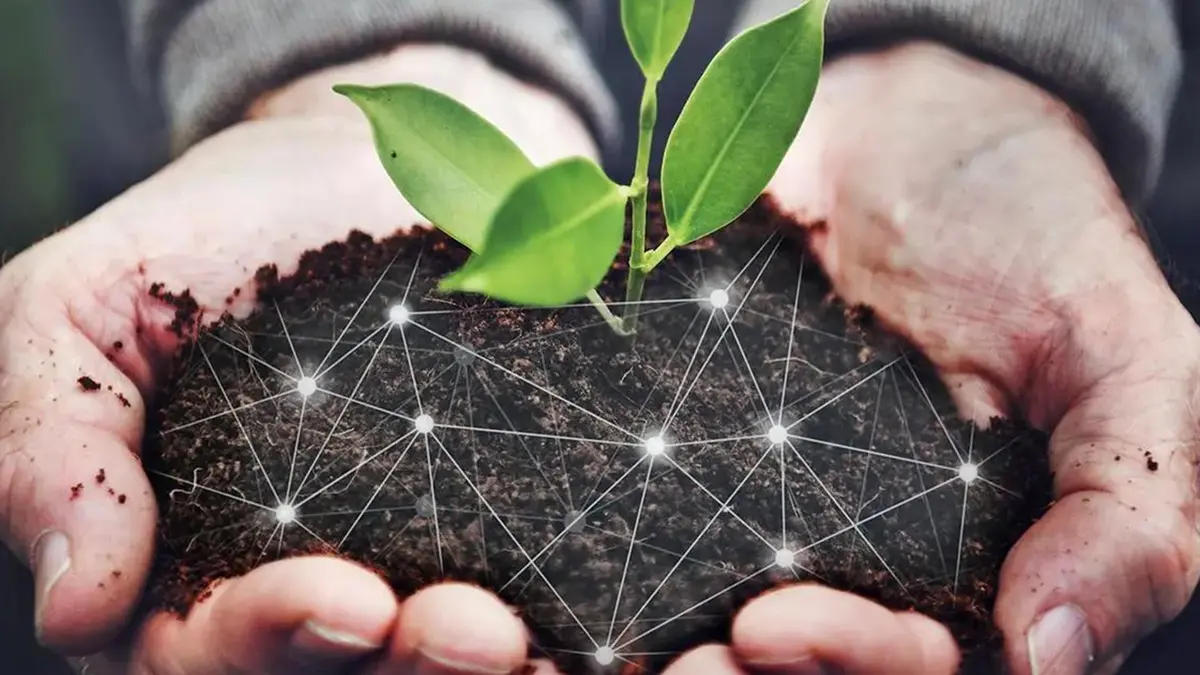 APEDA and the BHARATI Startup Challenge