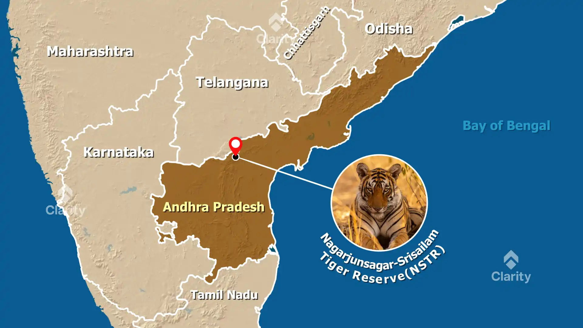 Nagarjunasagar–Srisailam Tiger Reserve – Census and Conservation