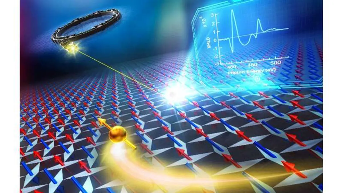 Altermagnetism in Ruthenium Dioxide (RuO₂)